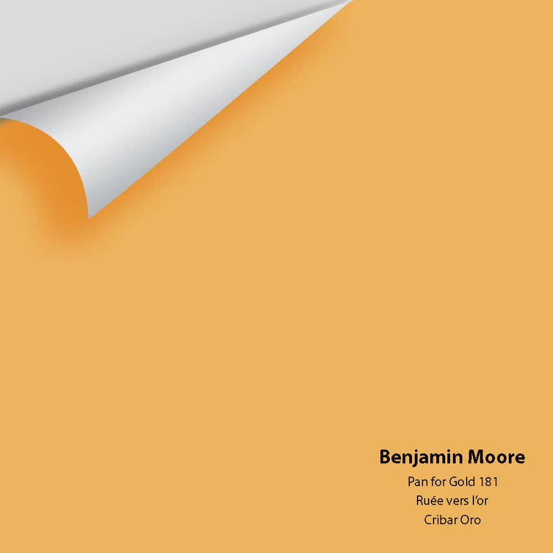 Benjamin Moore - Pan For Gold 181 Peel & Stick Color Sample
