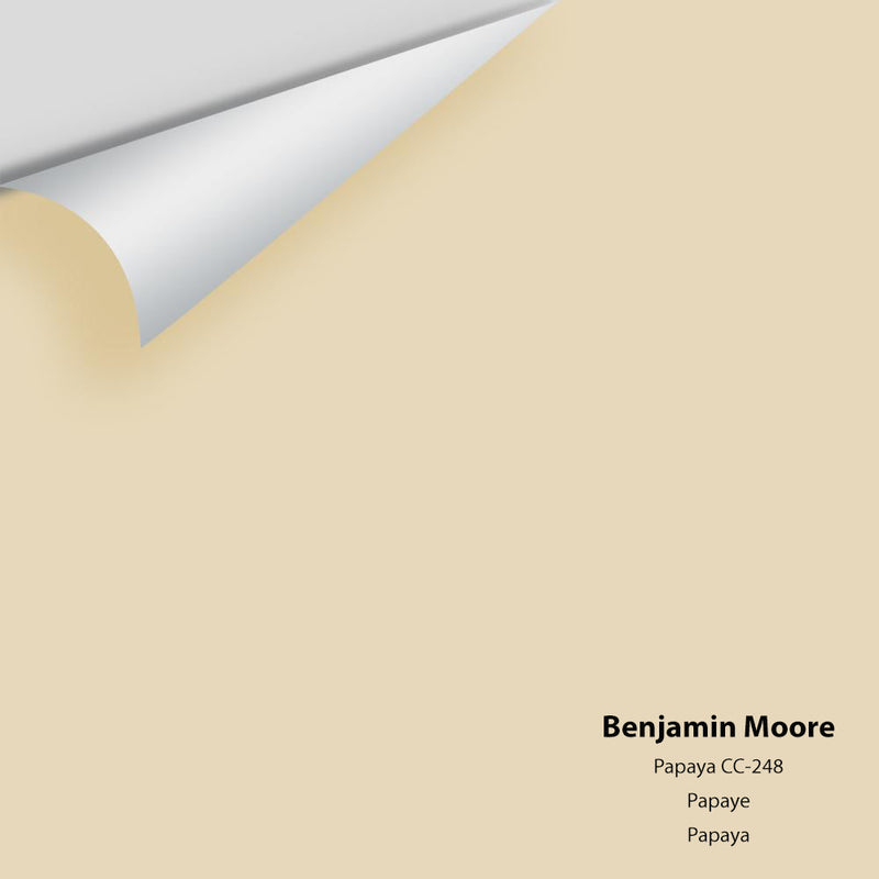 Benjamin Moore - Papaya 957/CC-248 Peel & Stick Color Sample