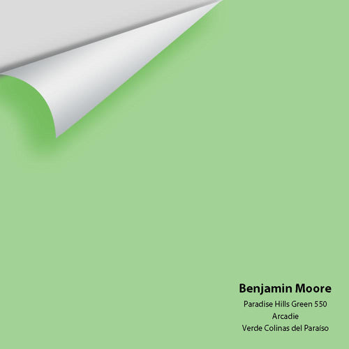 Benjamin Moore - Paradise Hills Green 550 Peel & Stick Color Sample