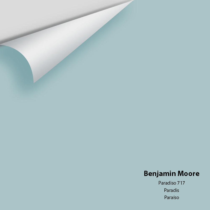 Benjamin Moore - Paradiso 717 Peel & Stick Color Sample