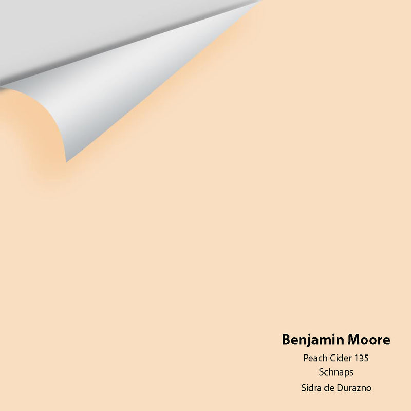 Benjamin Moore - Peach Cider 135 Peel & Stick Color Sample