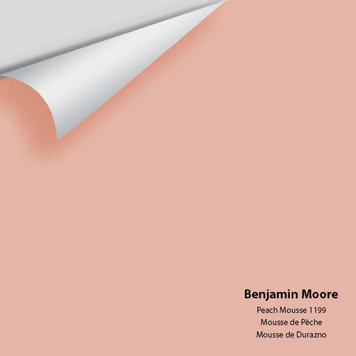 Benjamin Moore - Peach Mousse 1199 Peel & Stick Color Sample