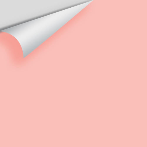 Benjamin Moore - Pearly Pink 2171-50 Peel & Stick Color Sample