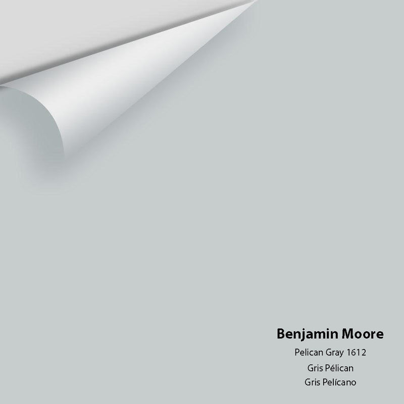 Benjamin Moore - Pelican Gray 1612 Peel & Stick Color Sample