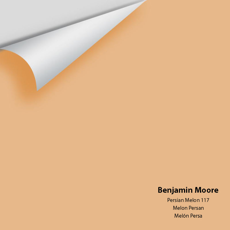 Benjamin Moore - Persian Melon 117 Peel & Stick Color Sample