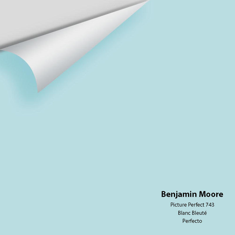 Benjamin Moore - Picture Perfect 743 Peel & Stick Color Sample