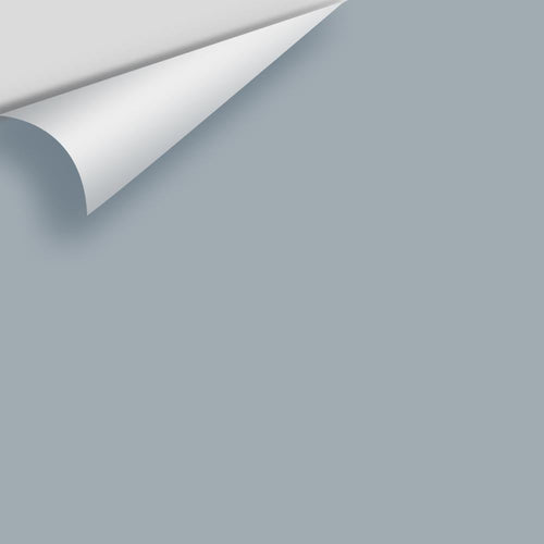 Benjamin Moore - Pike's Peak Gray 2127-50 Peel & Stick Color Sample
