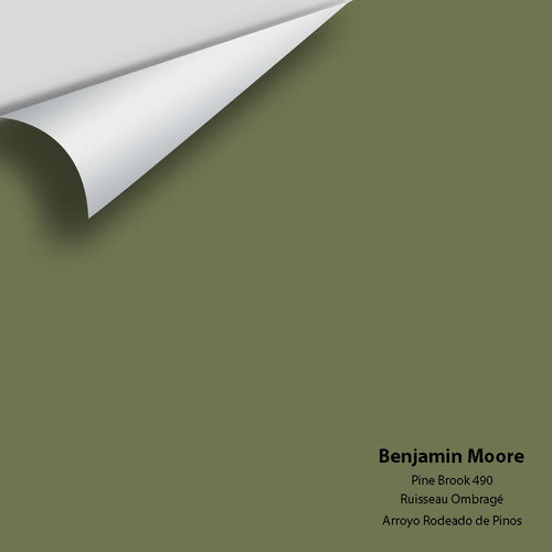 Benjamin Moore - Pine Brook 490 Peel & Stick Color Sample