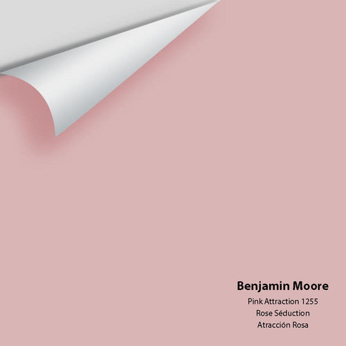 Benjamin Moore - Pink Attraction 1255 Peel & Stick Color Sample