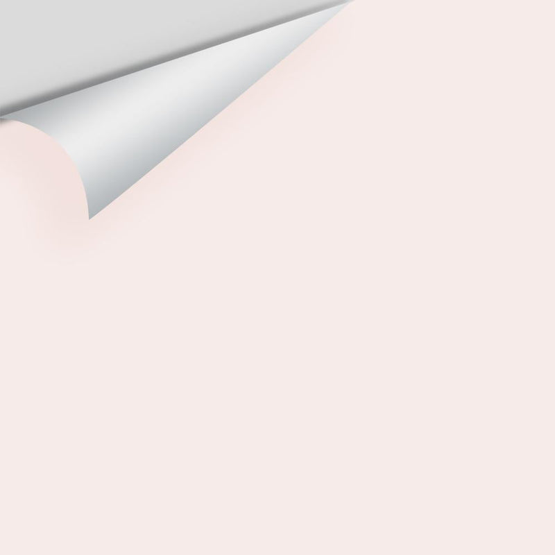 Benjamin Moore - Pink Bliss 2093-70 Peel & Stick Color Sample