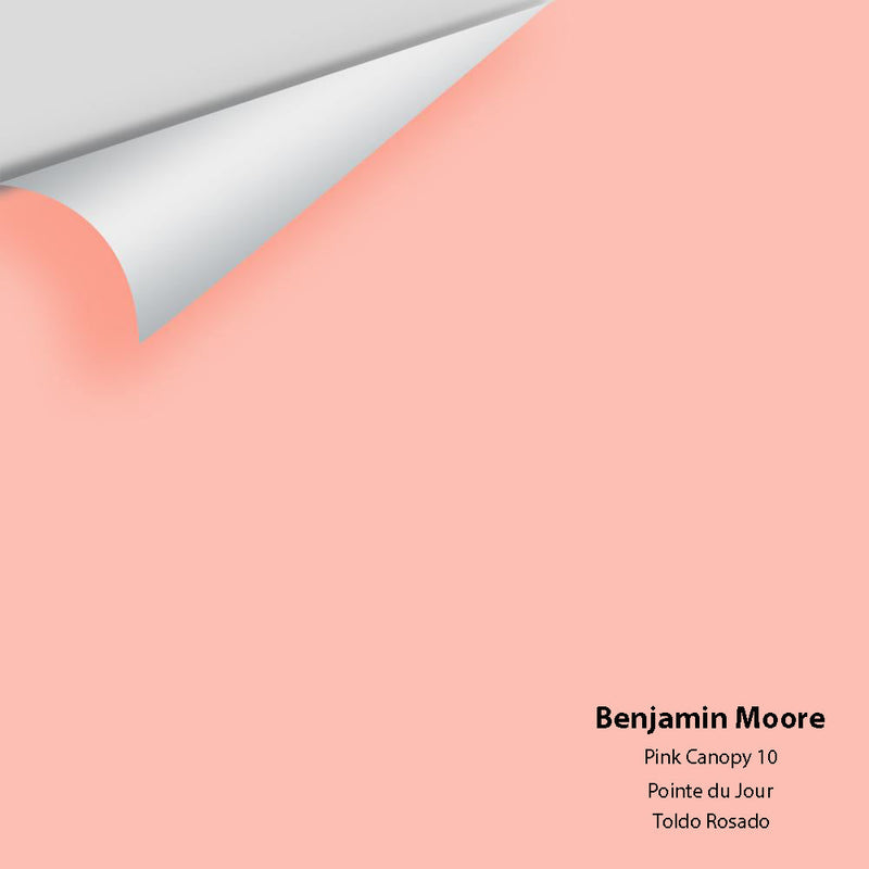 Benjamin Moore - Pink Canopy 10 Peel & Stick Color Sample