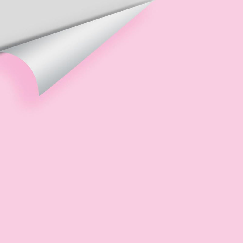Benjamin Moore - Pink Cherub 2079-60 Peel & Stick Color Sample