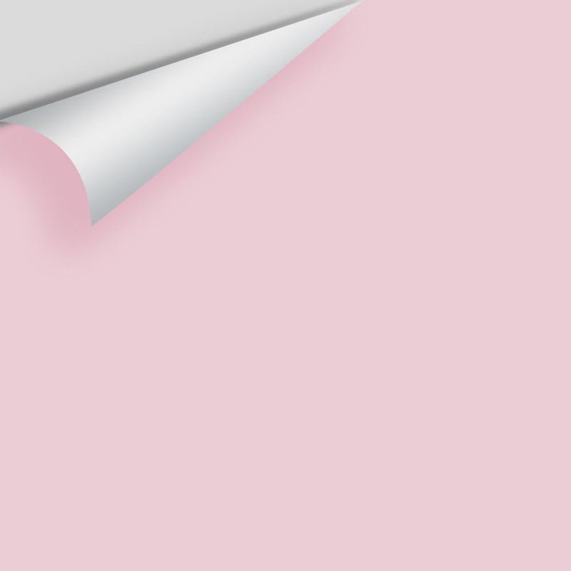 Benjamin Moore - Pink Innocence 2082-60 Peel & Stick Color Sample