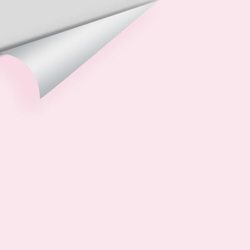 Benjamin Moore - Pink Peony 2078-70 Peel & Stick Color Sample