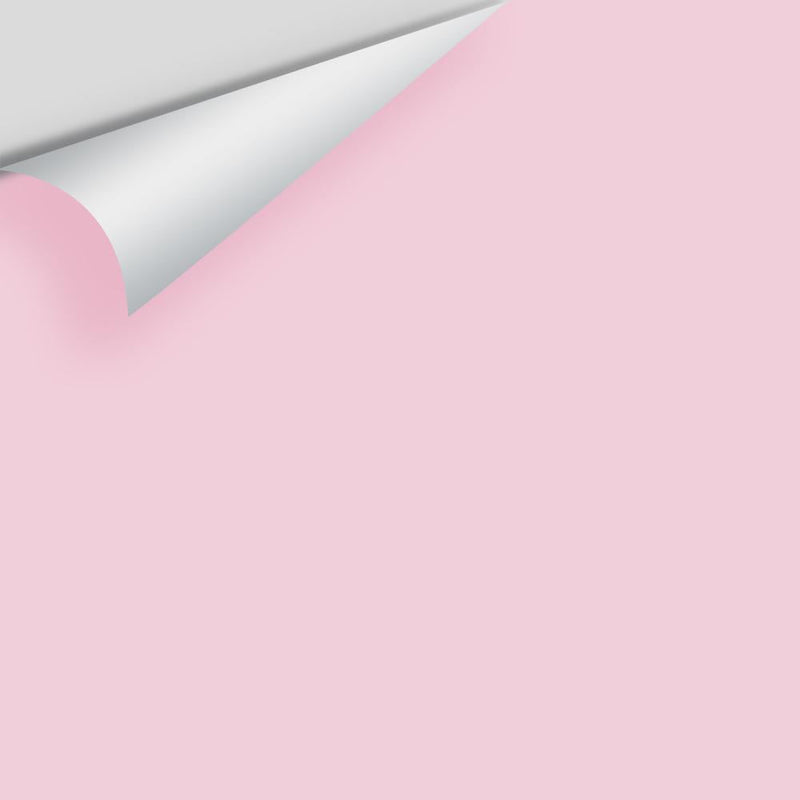 Benjamin Moore - Pink Petals 2085-60 Peel & Stick Color Sample