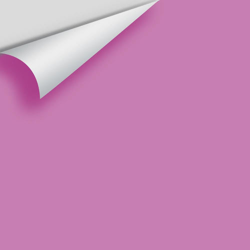 Benjamin Moore - Pink Raspberry 2075-40 Peel & Stick Color Sample