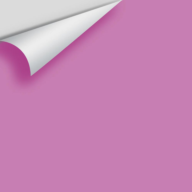 Benjamin Moore - Pink Raspberry 2075-40 Peel & Stick Color Sample