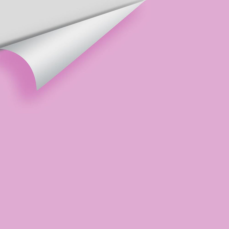 Benjamin Moore - Pink Taffy 2075-50 Peel & Stick Color Sample