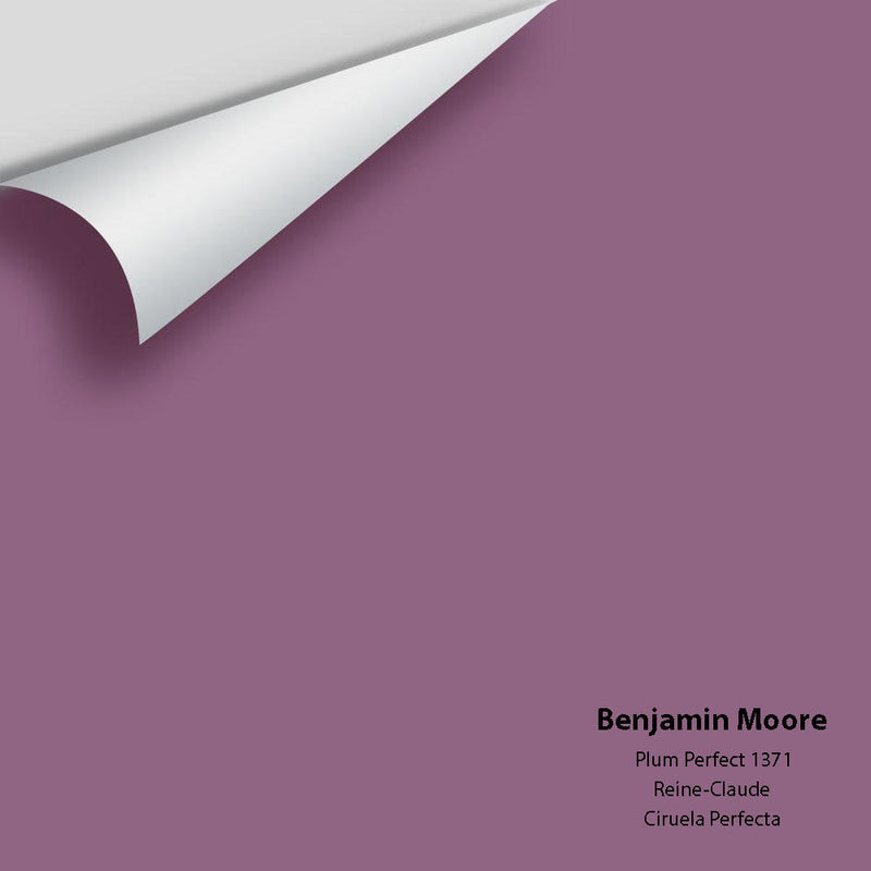 Benjamin Moore - Plum Perfect 1371 Peel & Stick Color Sample