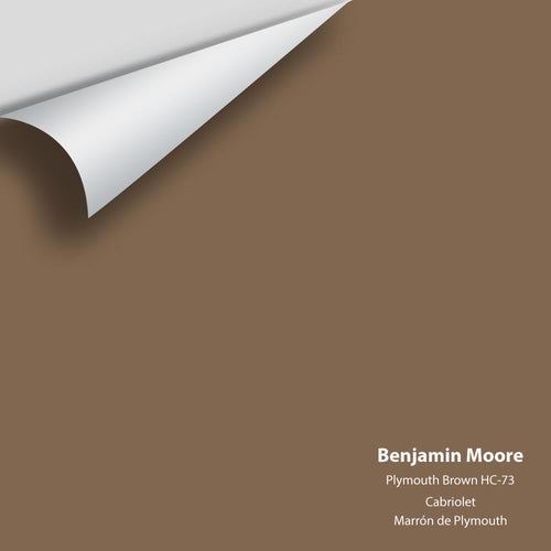 Benjamin Moore - Plymouth Brown HC-73 Peel & Stick Color Sample
