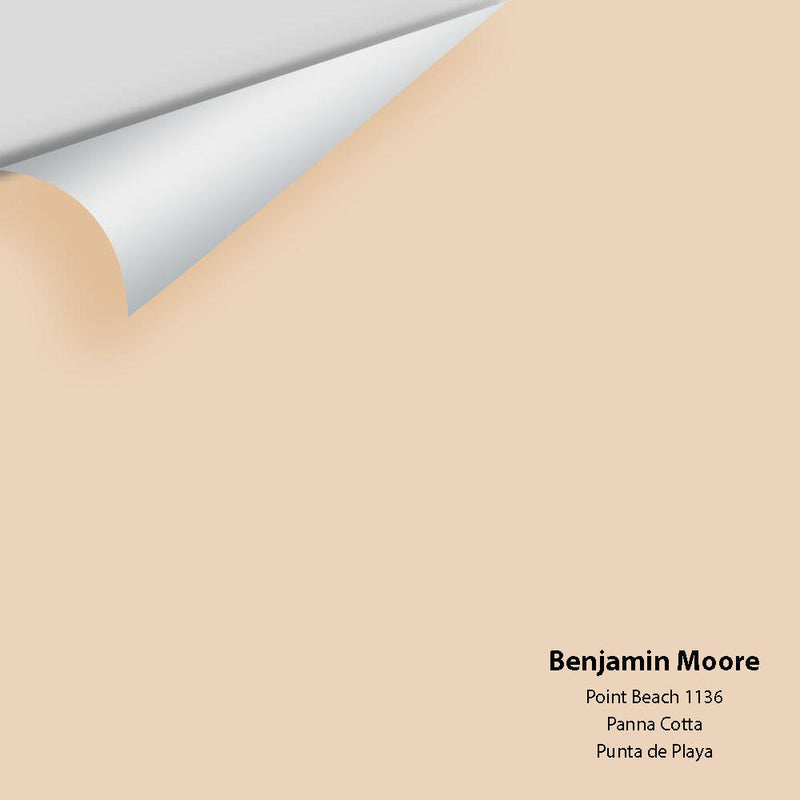Benjamin Moore - Point Beach 1136 Peel & Stick Color Sample