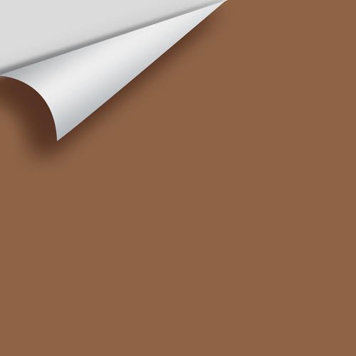 Benjamin Moore - Pony Brown 2163-20 Peel & Stick Color Sample