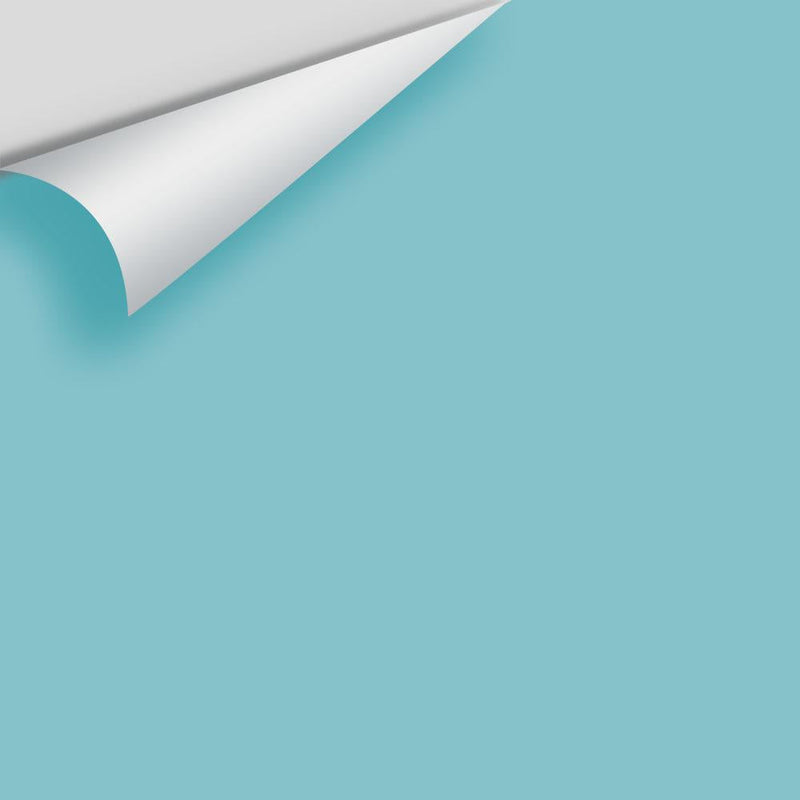 The Color House Benjamin Moore Peel & Stick Paint Samples