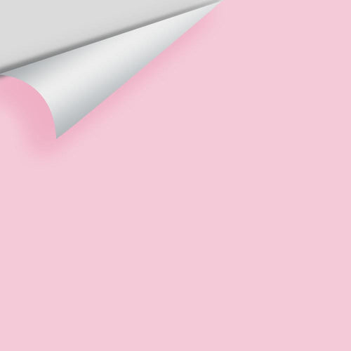 Benjamin Moore - Posy Pink 2080-60 Peel & Stick Color Sample