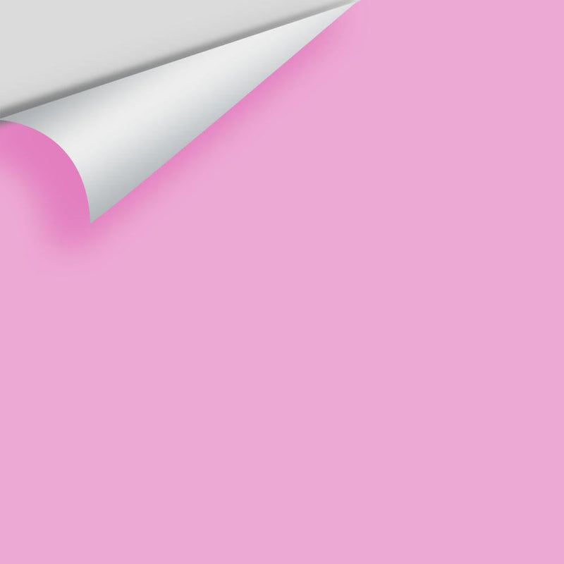 Benjamin Moore - Pretty Pink 2077-50 Peel & Stick Color Sample