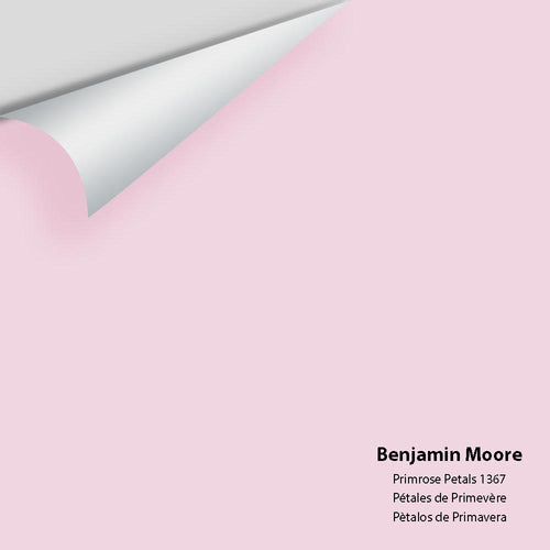 Benjamin Moore - Primrose Petals 1367 Peel & Stick Color Sample