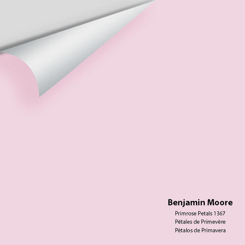 Benjamin Moore - Primrose Petals 1367 Peel & Stick Color Sample