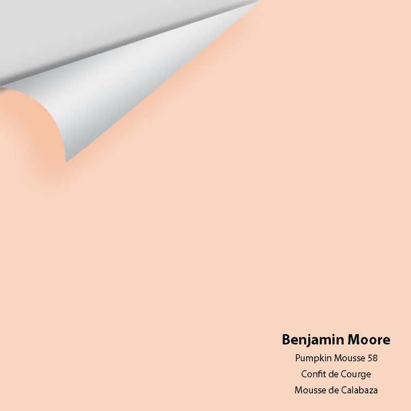 Benjamin Moore - Pumpkin Mousse 58 Peel & Stick Color Sample