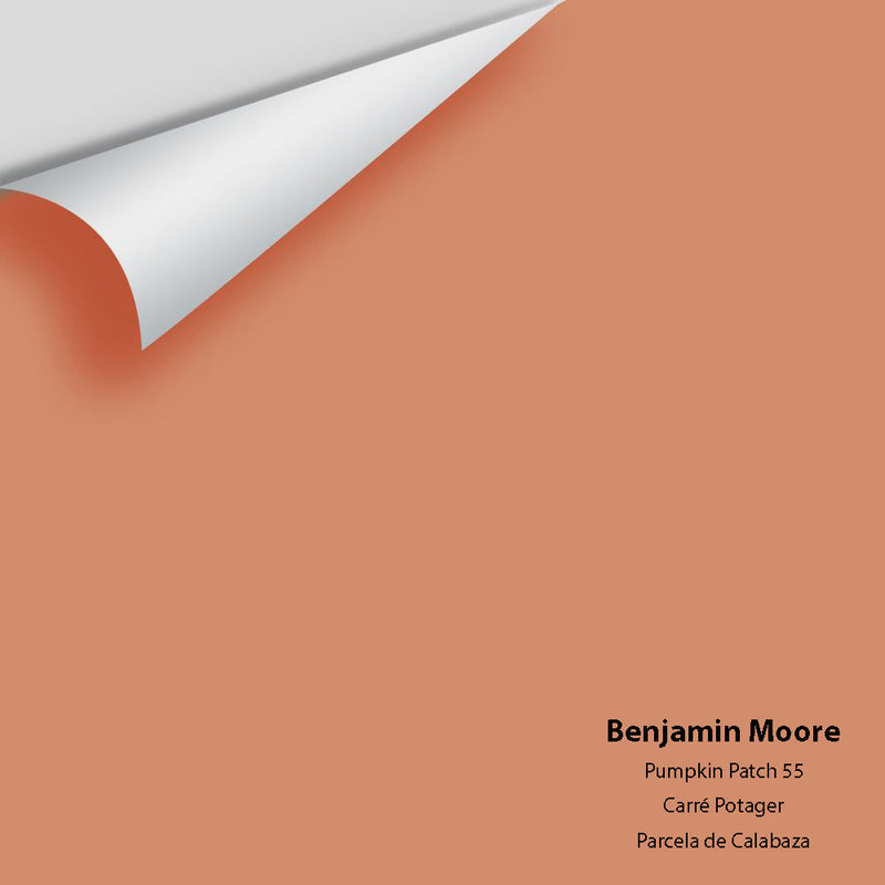 Benjamin Moore - Pumpkin Patch 55 Peel & Stick Color Sample