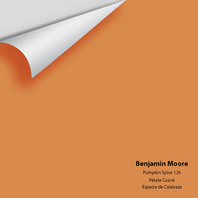 Benjamin Moore - Pumpkin Spice 126 Peel & Stick Color Sample