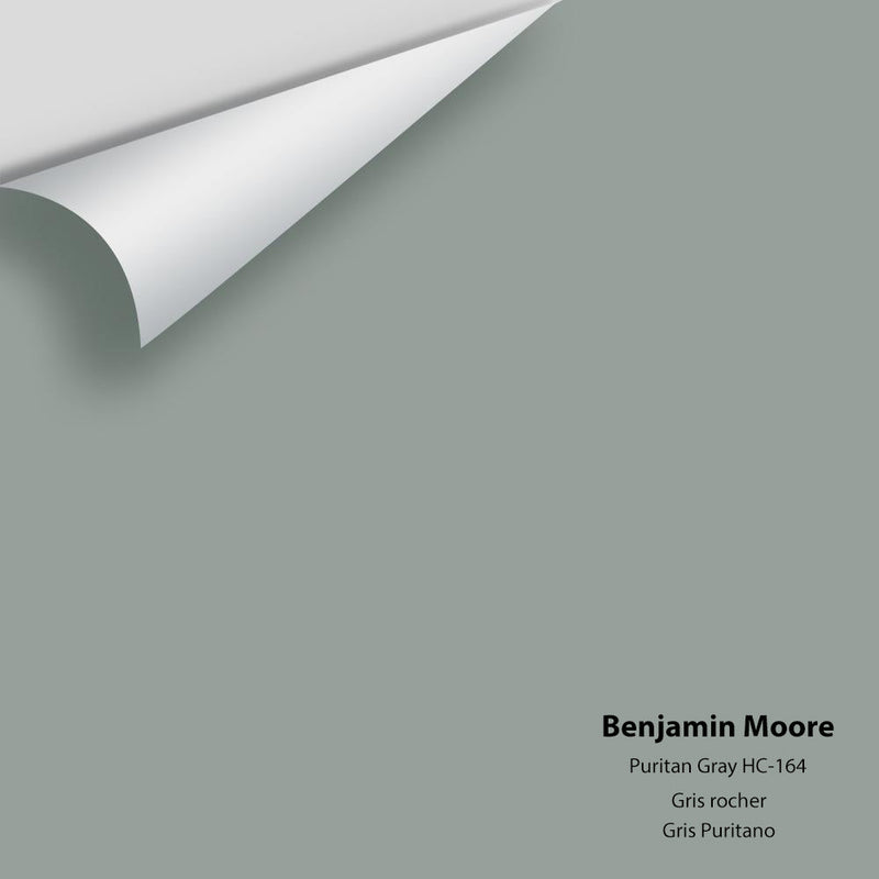 Benjamin Moore - Puritan Gray HC-164 Peel & Stick Color Sample