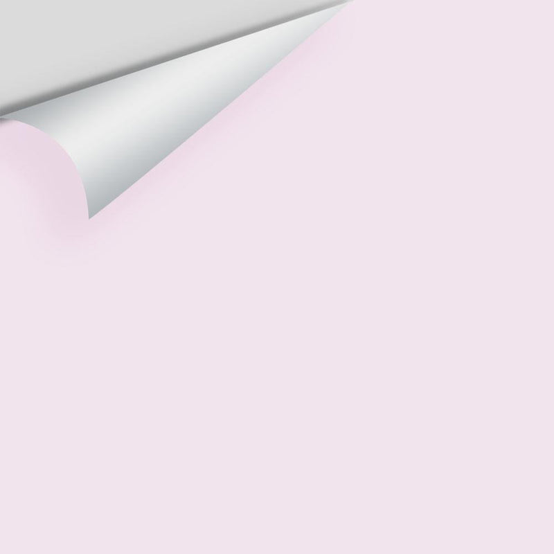 Benjamin Moore - Purple Cream 2073-70 Peel & Stick Color Sample