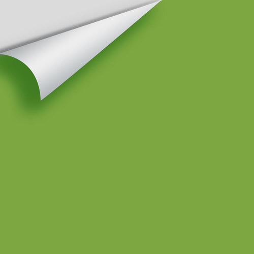 Benjamin Moore - Rosemary Green 2029-30 Peel & Stick Color Sample