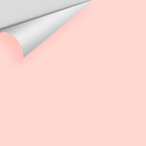 Benjamin Moore - Rose Petal 2010-60 Peel & Stick Color Sample