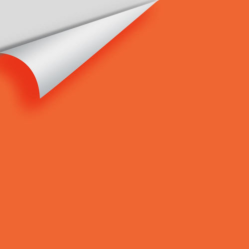 Benjamin Moore - Rumba Orange 2014-20 Peel & Stick Color Sample