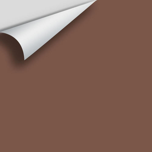 Benjamin Moore - Rabbit Brown 2105-30 Peel & Stick Color Sample