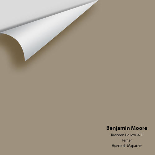 Benjamin Moore - Raccoon Hollow 978 Peel & Stick Color Sample