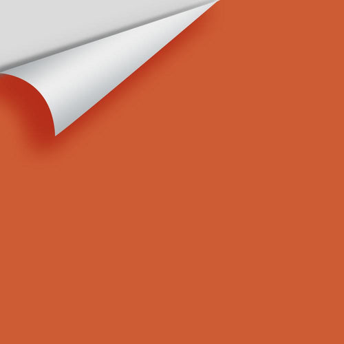 Benjamin Moore - Racing Orange 2169-10 Peel & Stick Color Sample