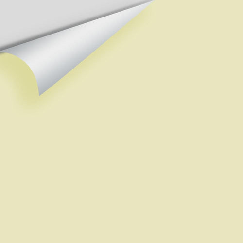 Benjamin Moore - Rainforest Dew 2146-50 Peel & Stick Color Sample