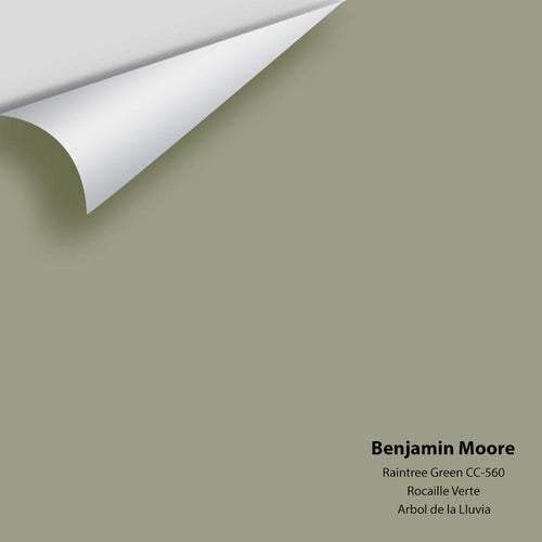 Benjamin Moore - Raintree Green 1496/CC-560 Peel & Stick Color Sample