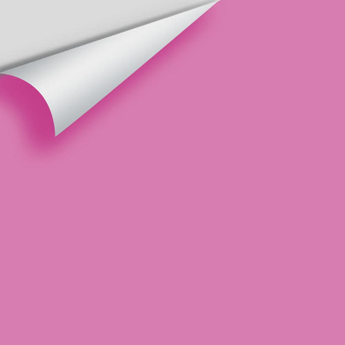 Benjamin Moore - Raspberry Mousse 2076-40 Peel & Stick Color Sample