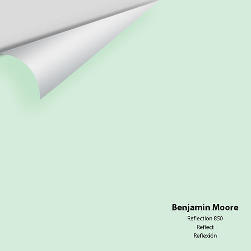 Benjamin Moore - Reflection 850 Peel & Stick Color Sample