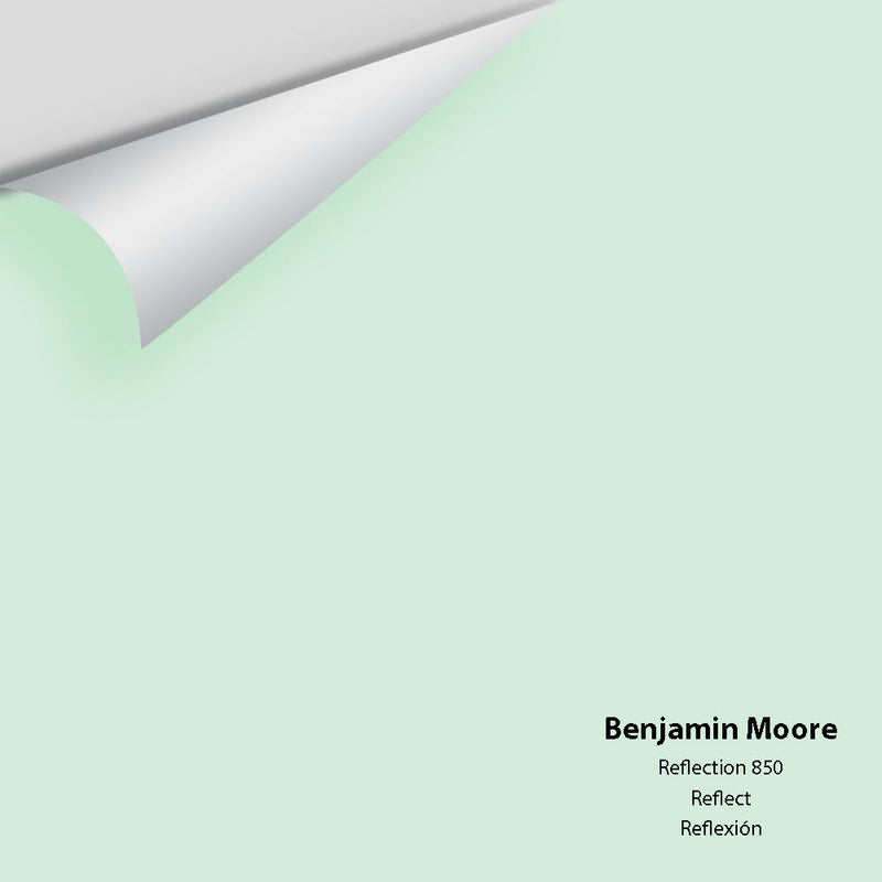 The Color House Benjamin Moore Peel & Stick Paint Samples