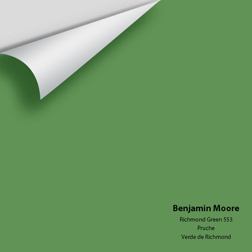 Benjamin Moore - Richmond Green 553 Peel & Stick Color Sample