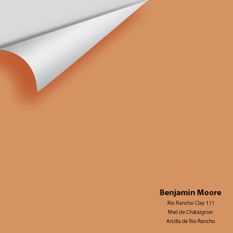 Benjamin Moore - Rio Rancho Clay 111 Peel & Stick Color Sample