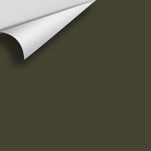 Benjamin Moore - River Rock 2139-10 Peel & Stick Color Sample